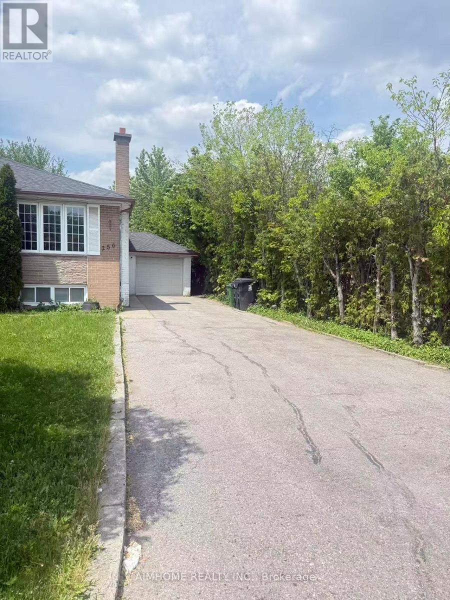 Main - 256 Patricia Avenue, Toronto, Ontario  M2M 1J8 - Photo 18 - C13443442