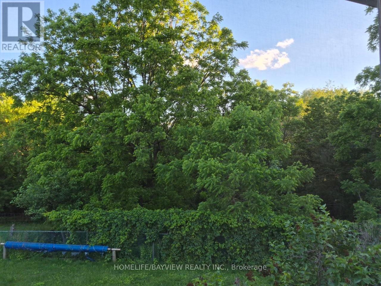 Main - 31 Portree Crescent, Markham, Ontario  L3T 3G1 - Photo 27 - N13439060