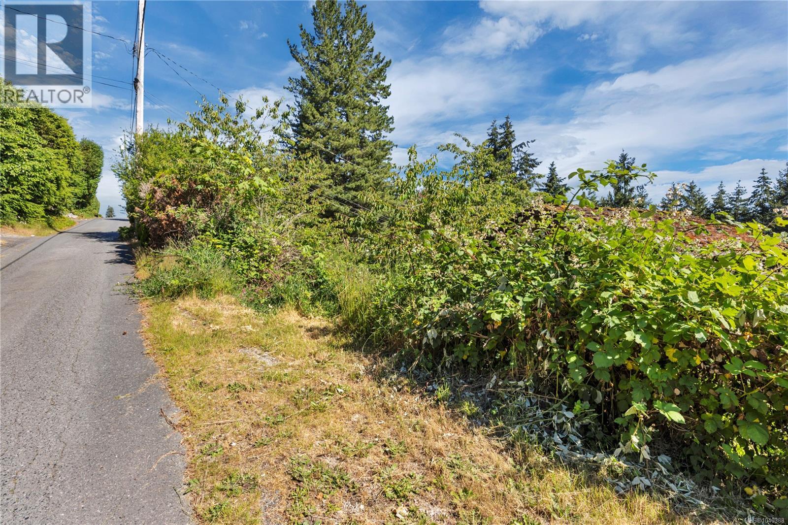 Listing image 51