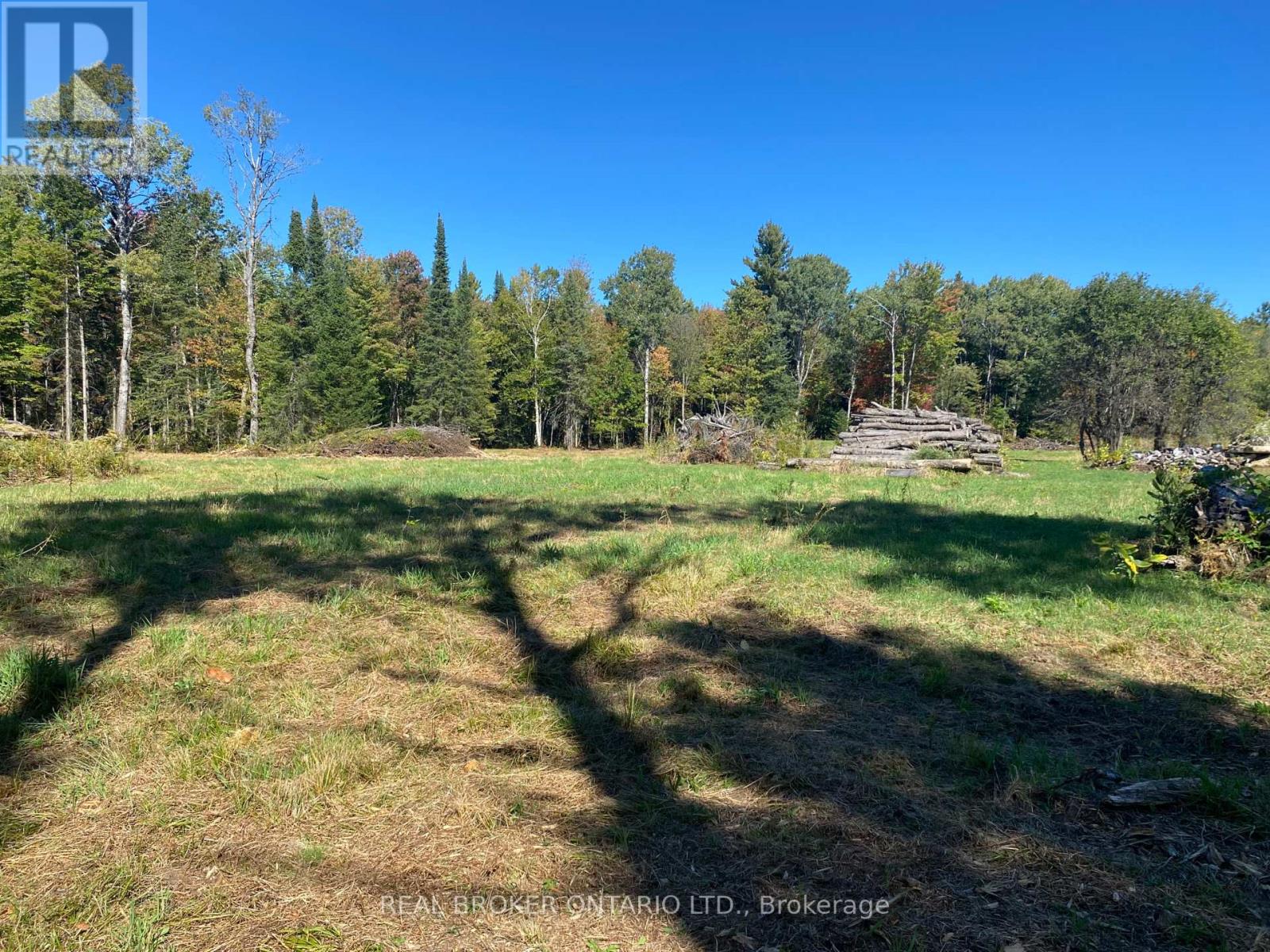 1248 Beiers Road, Gravenhurst, Ontario  P0E 1G0 - Photo 2 - X12442164