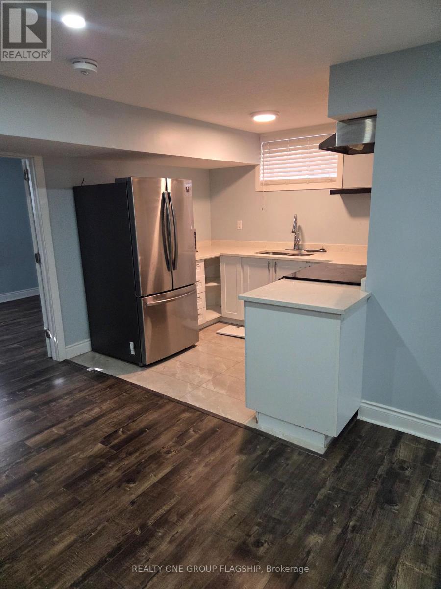 Basement - 218 Tremaine Crescent, Kitchener, Ontario  N2A 4L9 - Photo 5 - X13443712