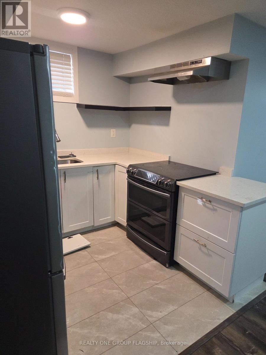 Basement - 218 Tremaine Crescent, Kitchener, Ontario  N2A 4L9 - Photo 6 - X13443712