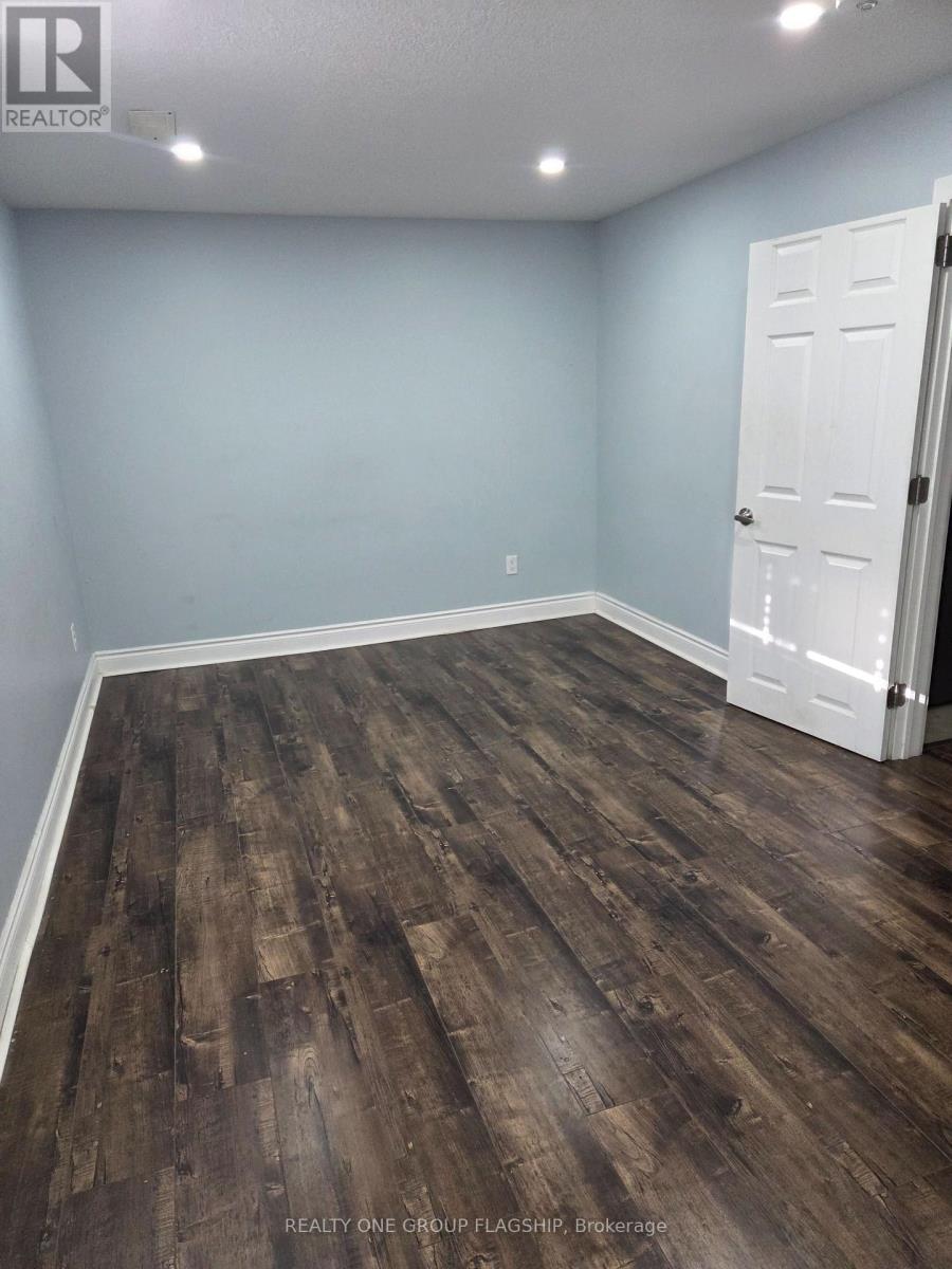 Basement - 218 Tremaine Crescent, Kitchener, Ontario  N2A 4L9 - Photo 7 - X13443712