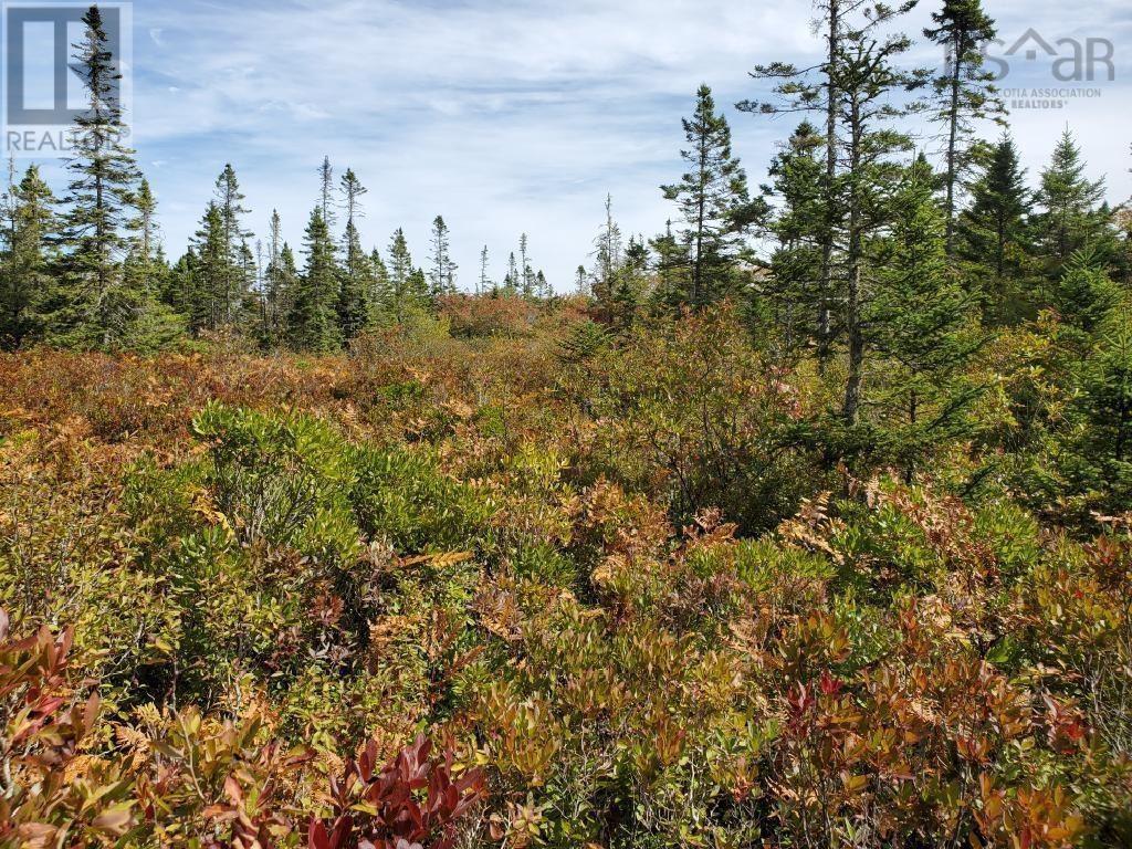 Lot Rockland Road, Rockland, Nova Scotia