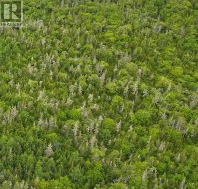 Lot Rockland Road, Rockland, Nova Scotia  B0T 1V0 - Photo 3 - 202614370