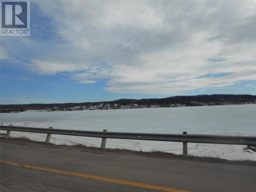 246b Main Street Unit#b, Norris Arm North, Newfoundland & Labrador  A0G 3N0 - Photo 14 - 1298927
