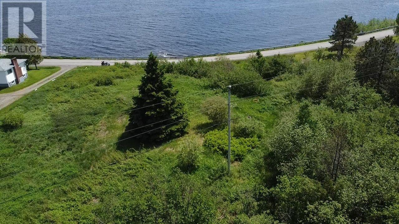 246b Main Street Unit#b, Norris Arm North, Newfoundland & Labrador  A0G 3N0 - Photo 17 - 1298927