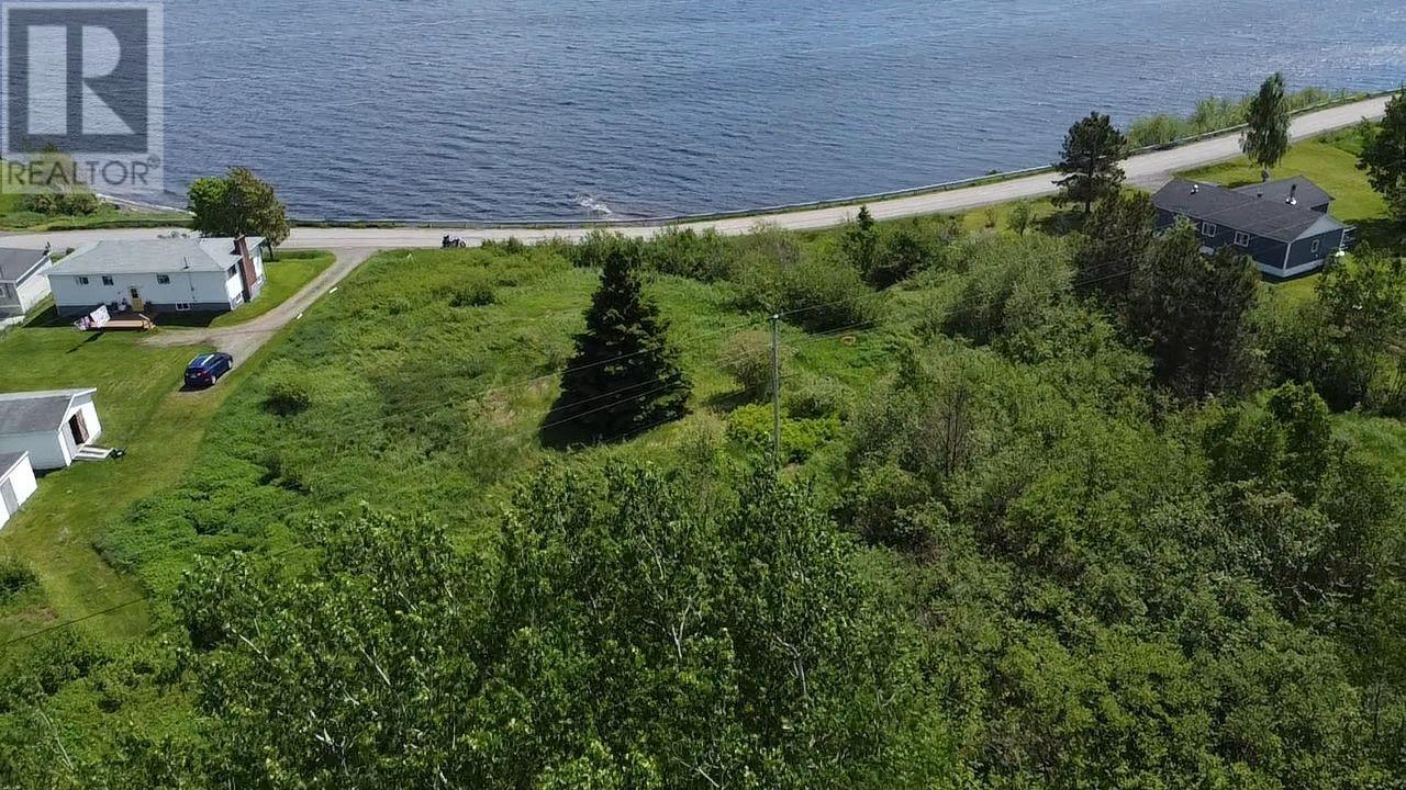 246b Main Street Unit#b, Norris Arm North, Newfoundland & Labrador  A0G 3N0 - Photo 19 - 1298927