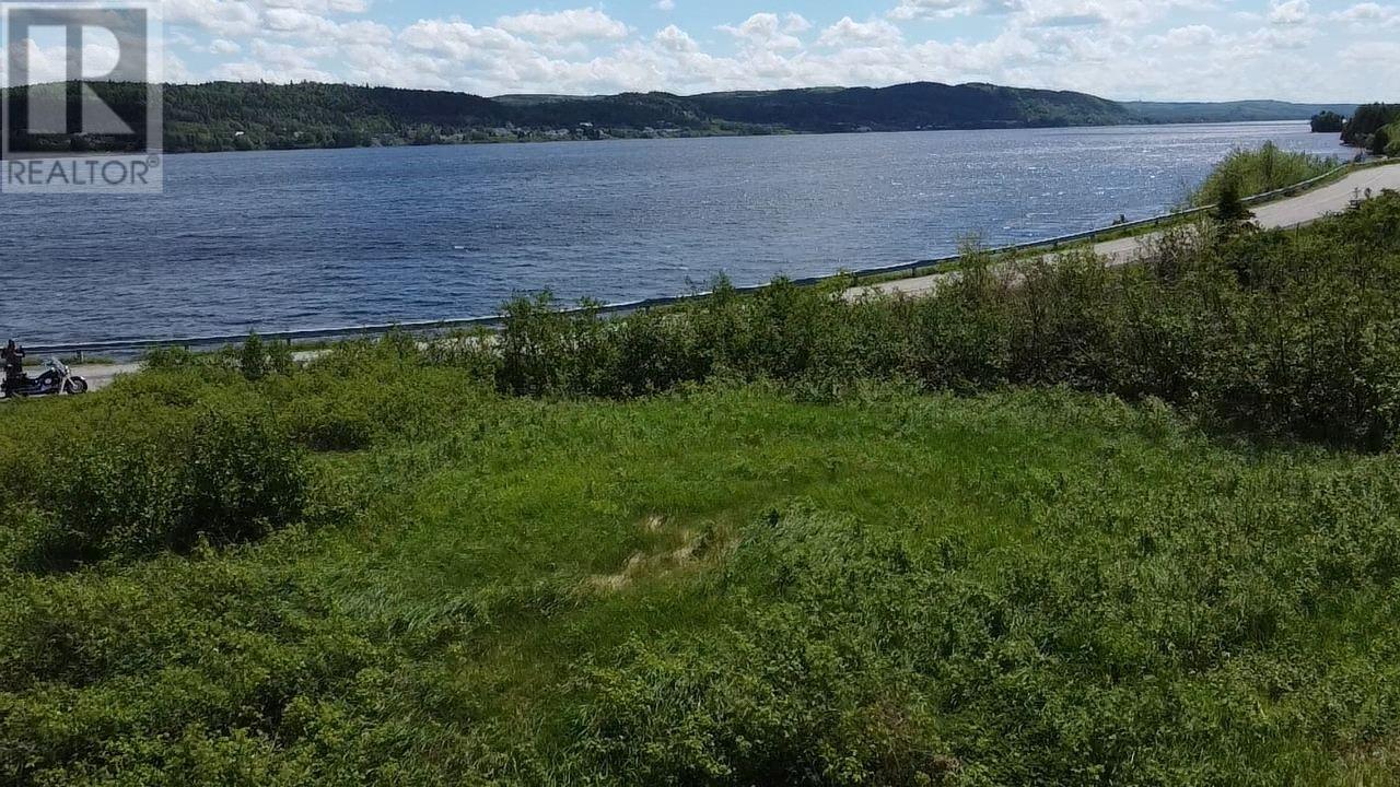 246b Main Street Unit#b, Norris Arm North, Newfoundland & Labrador  A0G 3N0 - Photo 2 - 1298927