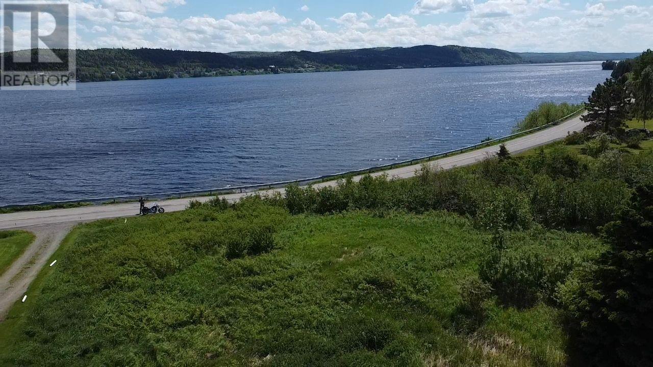 246b Main Street Unit#b, Norris Arm North, Newfoundland & Labrador  A0G 3N0 - Photo 3 - 1298927