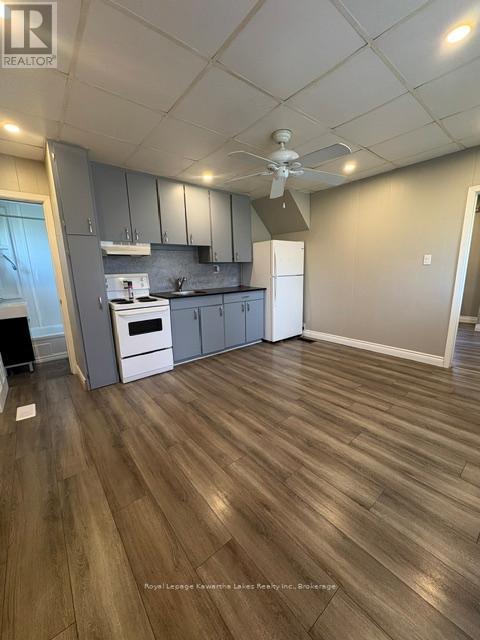 21 James Street, Kawartha Lakes, Ontario  K9V 3B3 - Photo 11 - X13443956