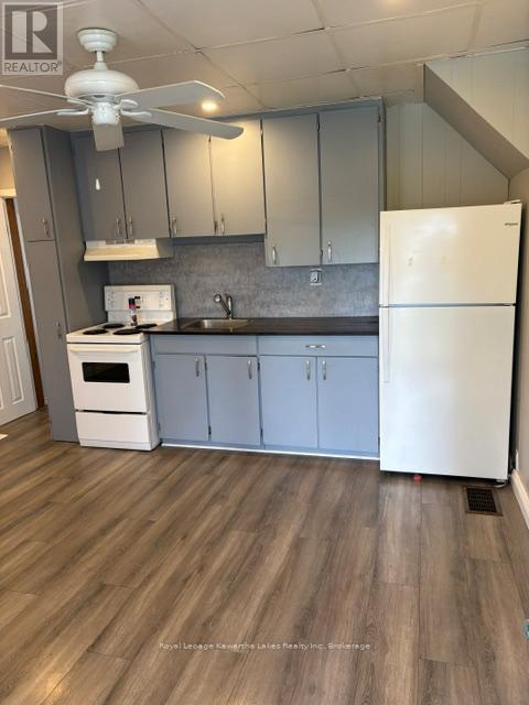 21 James Street, Kawartha Lakes, Ontario  K9V 3B3 - Photo 3 - X13443956