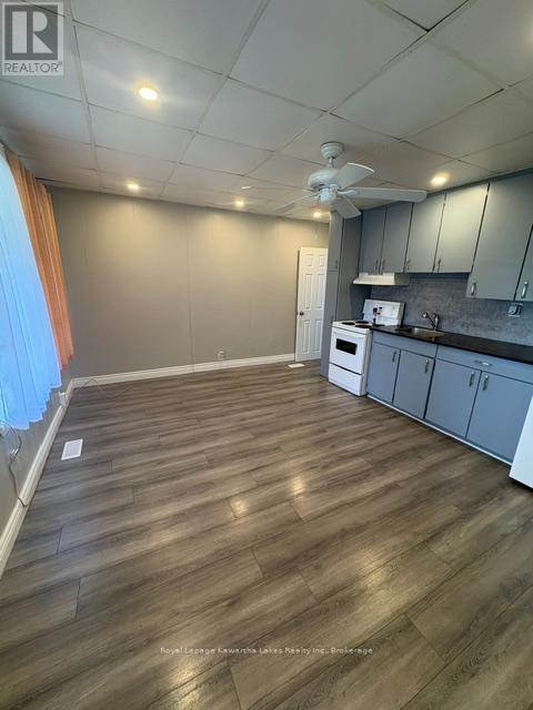 21 James Street, Kawartha Lakes, Ontario  K9V 3B3 - Photo 8 - X13443956