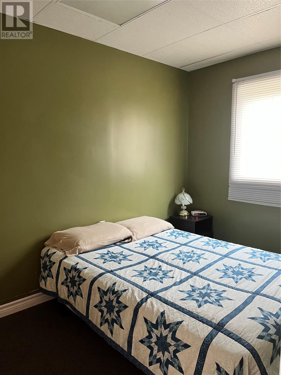 490 A Gillingham Avenue, Norris Arm, Newfoundland & Labrador  A0G 3M0 - Photo 28 - 1298154