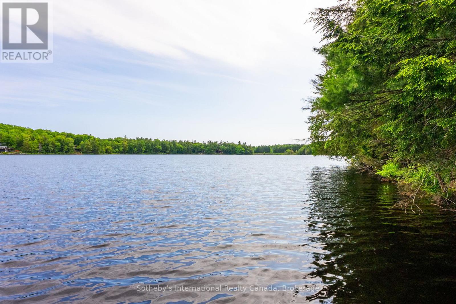 6 - 8091 Lake Joseph Road, Muskoka Lakes, Ontario  P0C 1H0 - Photo 11 - X13113934