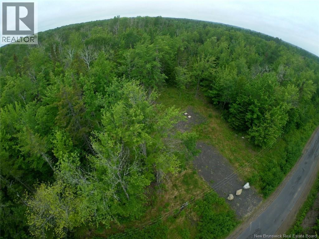 Lot 5 Wuhrs Beach Road, Flowers Cove, New Brunswick  E4B 2G2 - Photo 6 - NB141908