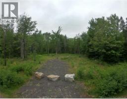 Lot 5 Wuhrs Beach Road, Flowers Cove, New Brunswick