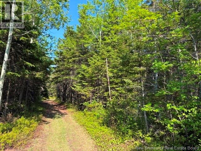 305 Haut-Lameque, lamèque, New Brunswick