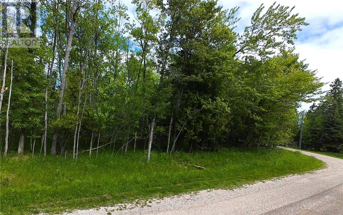 Lot 22 Lily Crescent, Kagawong, Ontario  P0P 1J0 - Photo 3 - 2128423