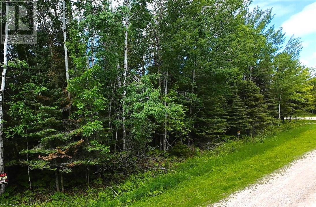 Lot 22 Lily Crescent, Kagawong, Ontario  P0P 1J0 - Photo 4 - 2128423