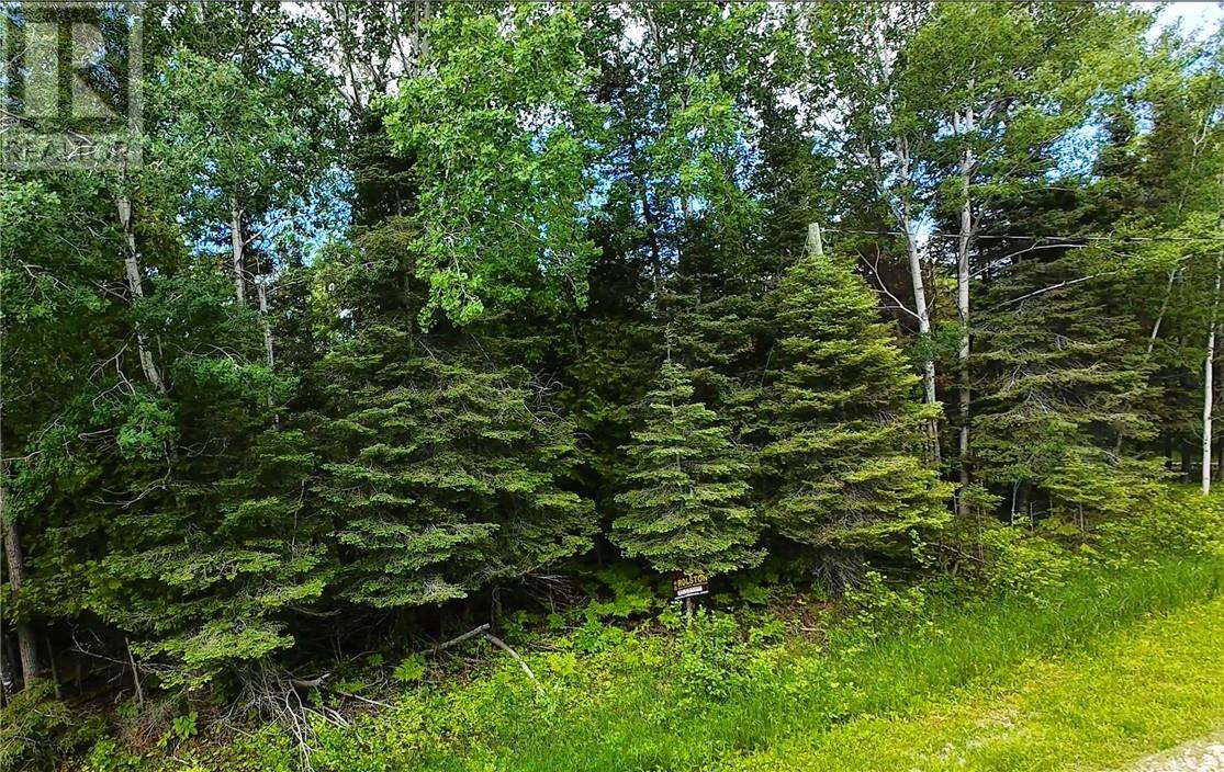 Lot 22 Lily Crescent, Kagawong, Ontario  P0P 1J0 - Photo 5 - 2128423