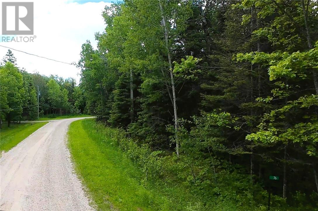 Lot 22 Lily Crescent, Kagawong, Ontario  P0P 1J0 - Photo 6 - 2128423