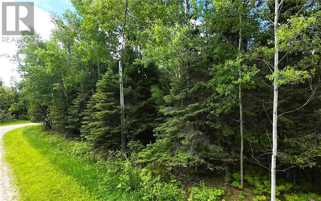 Lot 22 Lily Crescent, Kagawong, Ontario  P0P 1J0 - Photo 7 - 2128423