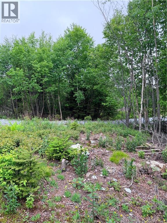 Meadow Cove Road, Musquash, New Brunswick  E5J 1Y5 - Photo 7 - NB141224