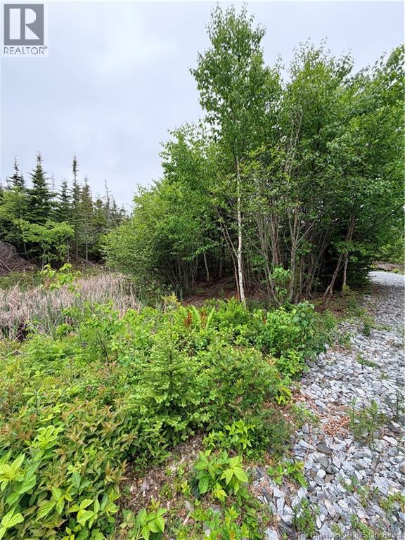 Meadow Cove Road, Musquash, New Brunswick  E5J 1Y5 - Photo 6 - NB141224