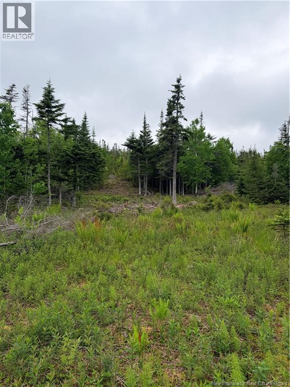 Meadow Cove Road, Musquash, New Brunswick  E5J 1Y5 - Photo 9 - NB141224