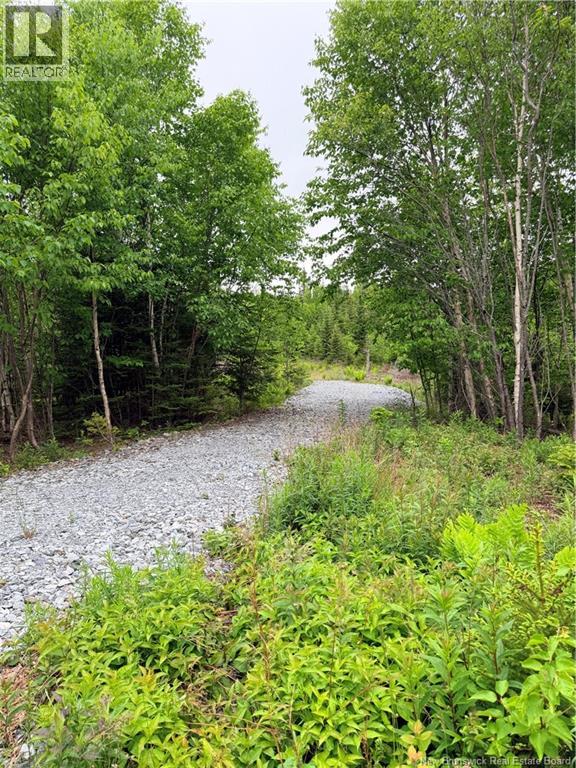 Meadow Cove Road, Musquash, New Brunswick