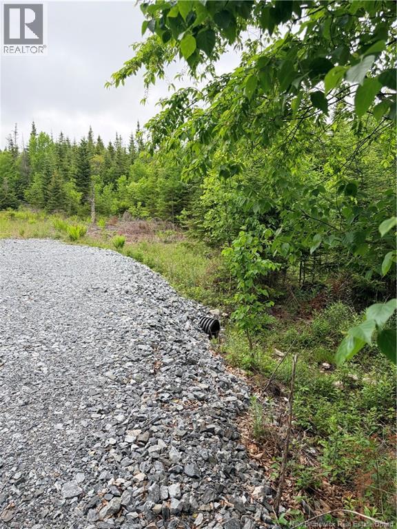 Meadow Cove Road, Musquash, New Brunswick  E5J 1Y5 - Photo 4 - NB141224
