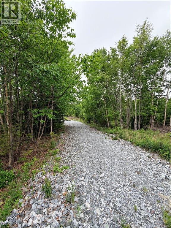 Meadow Cove Road, Musquash, New Brunswick  E5J 1Y5 - Photo 5 - NB141224