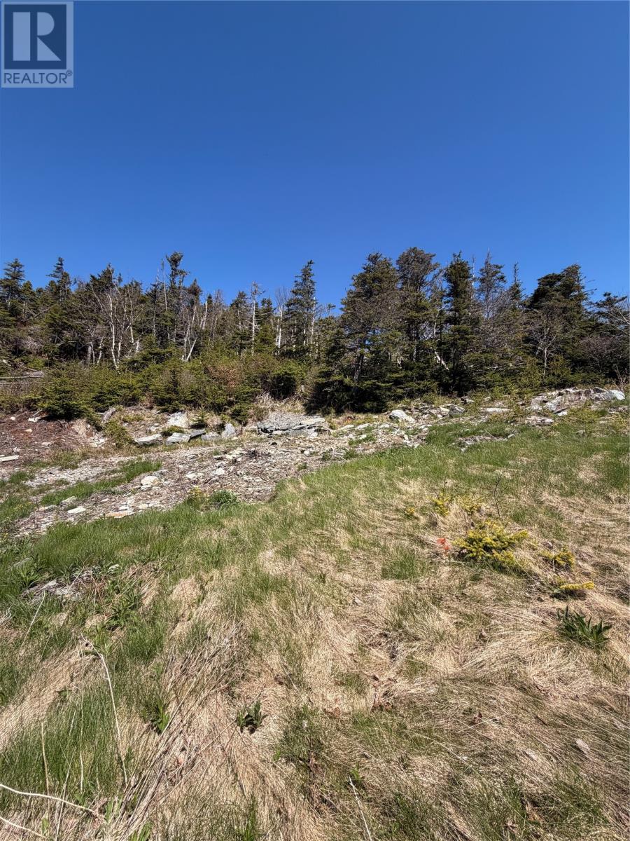 0 Lamanche Road, Lamanche, Newfoundland & Labrador  A0A 4A0 - Photo 11 - 1298923