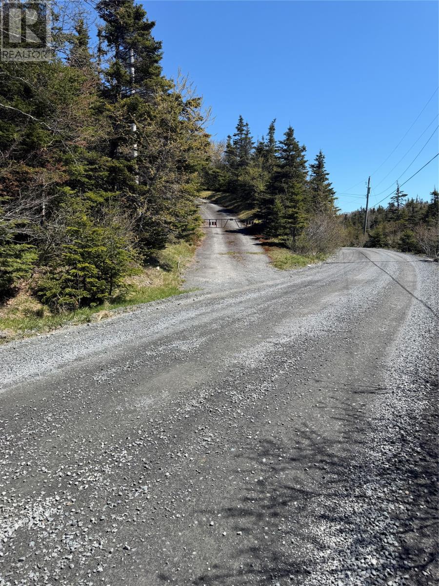 0 Lamanche Road, Lamanche, Newfoundland & Labrador  A0A 4A0 - Photo 12 - 1298923