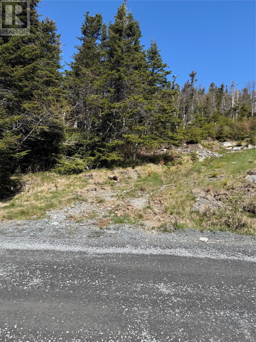 0 Lamanche Road, Lamanche, Newfoundland & Labrador  A0A 4A0 - Photo 2 - 1298923