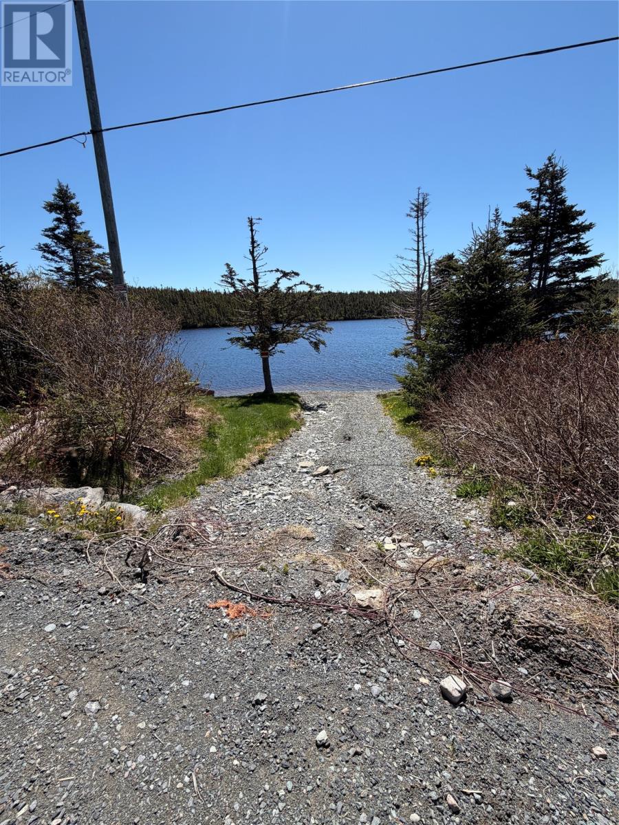 0 Lamanche Road, Lamanche, Newfoundland & Labrador  A0A 4A0 - Photo 3 - 1298923