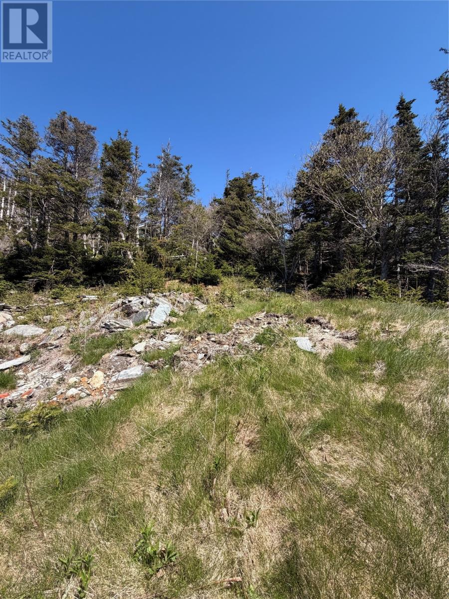 0 Lamanche Road, Lamanche, Newfoundland & Labrador  A0A 4A0 - Photo 4 - 1298923