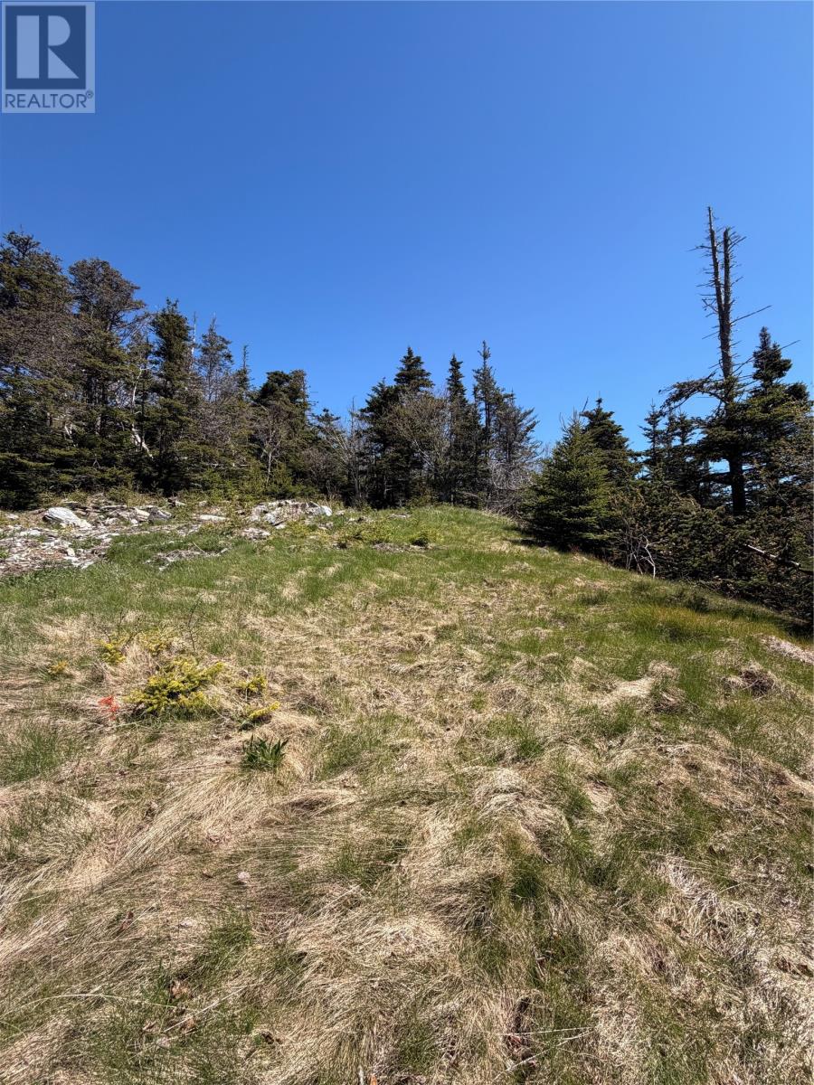 0 Lamanche Road, Lamanche, Newfoundland & Labrador  A0A 4A0 - Photo 5 - 1298923