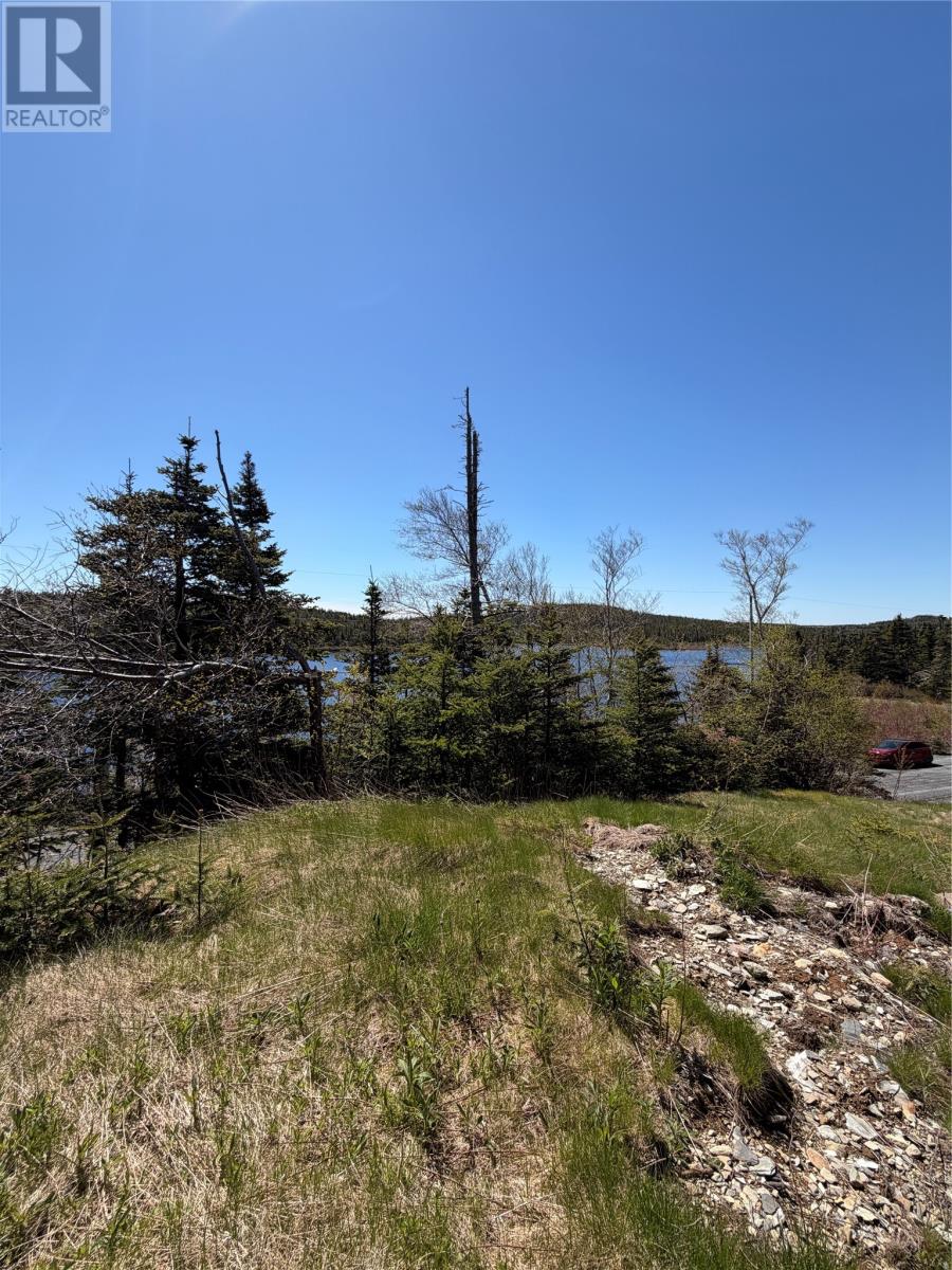 0 Lamanche Road, Lamanche, Newfoundland & Labrador  A0A 4A0 - Photo 6 - 1298923