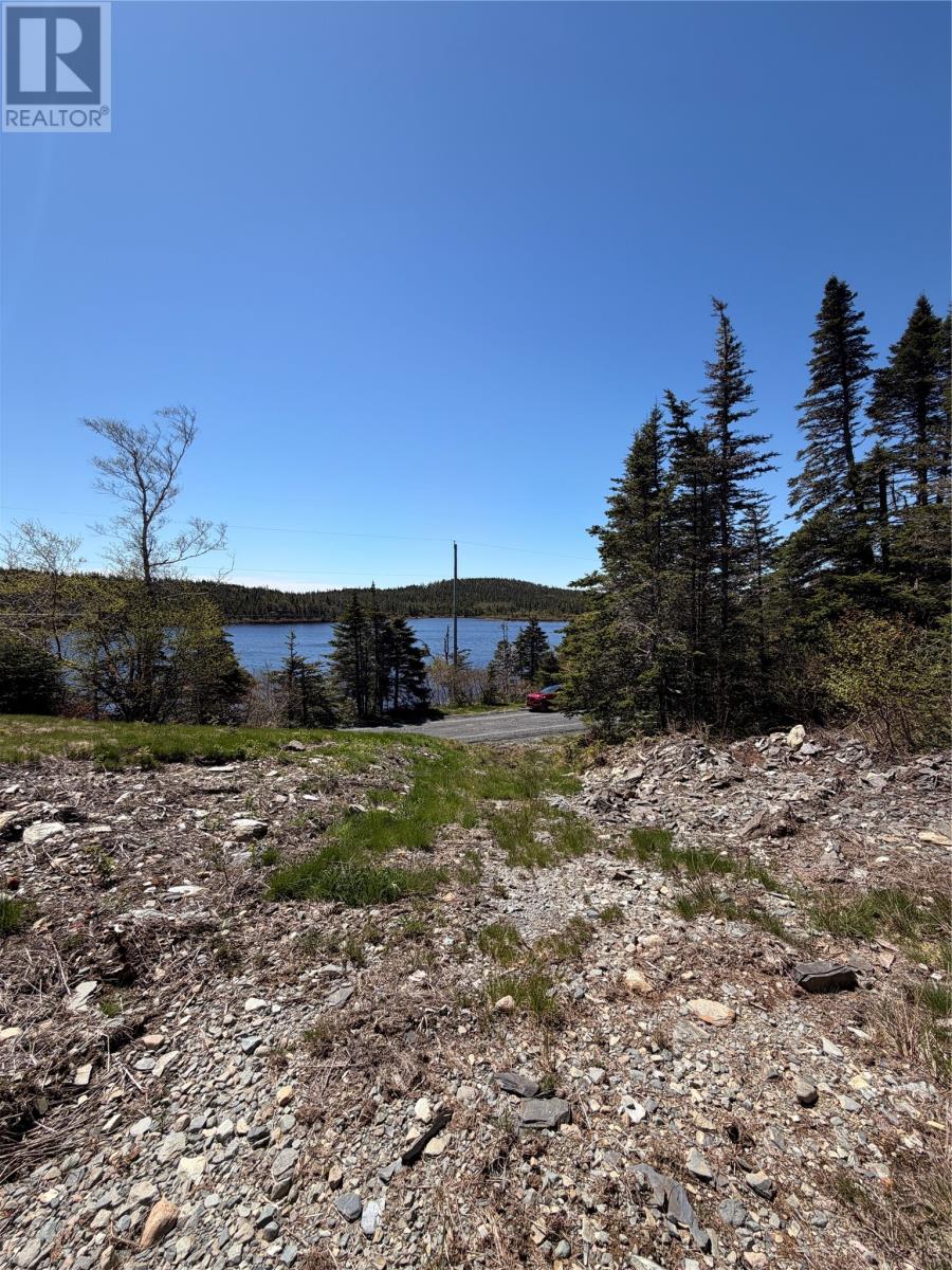 0 Lamanche Road, Lamanche, Newfoundland & Labrador  A0A 4A0 - Photo 7 - 1298923