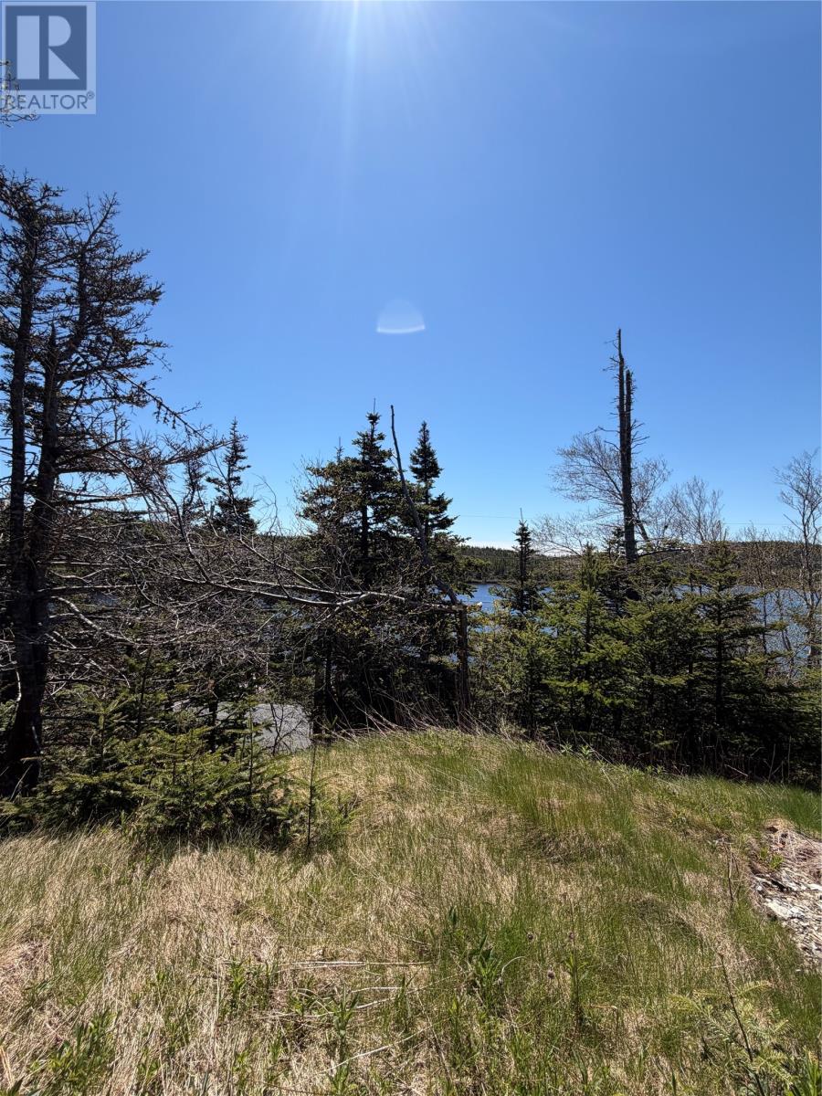 0 Lamanche Road, Lamanche, Newfoundland & Labrador  A0A 4A0 - Photo 8 - 1298923