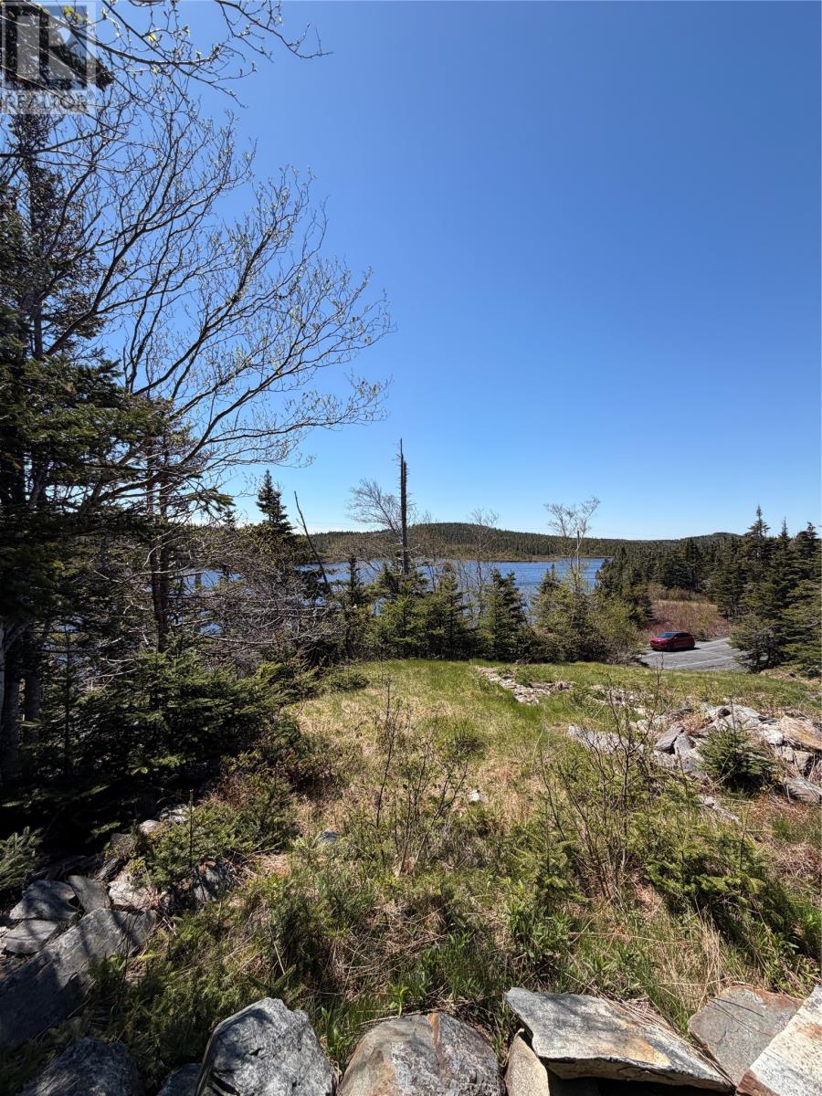 0 Lamanche Road, Lamanche, Newfoundland & Labrador  A0A 4A0 - Photo 9 - 1298923