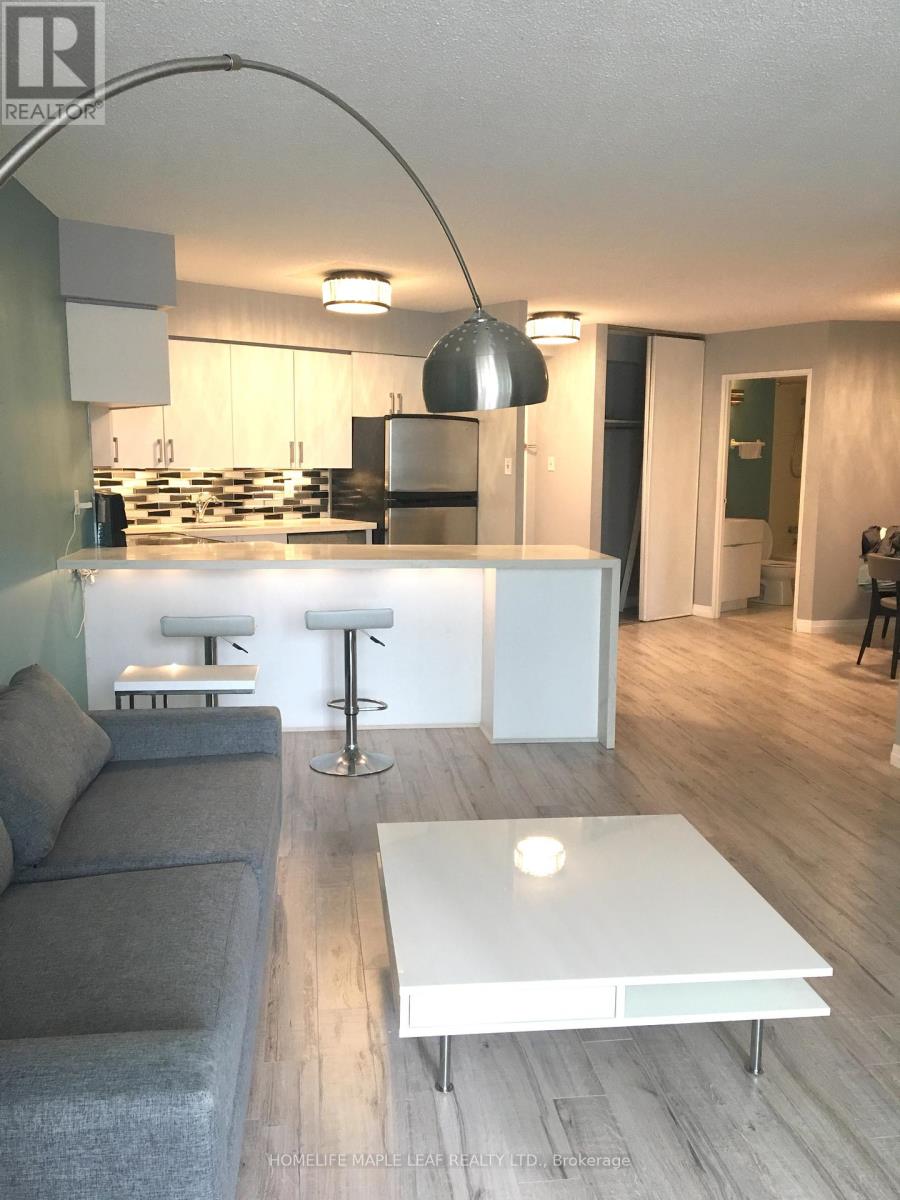 607 - 250 Queens Quay W, Toronto, Ontario  M5J 2N2 - Photo 3 - C13444204