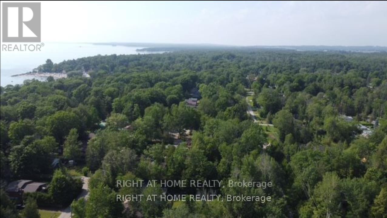 73 Lesperance Road, Tiny, Ontario  L0L 2J0 - Photo 3 - S13444214