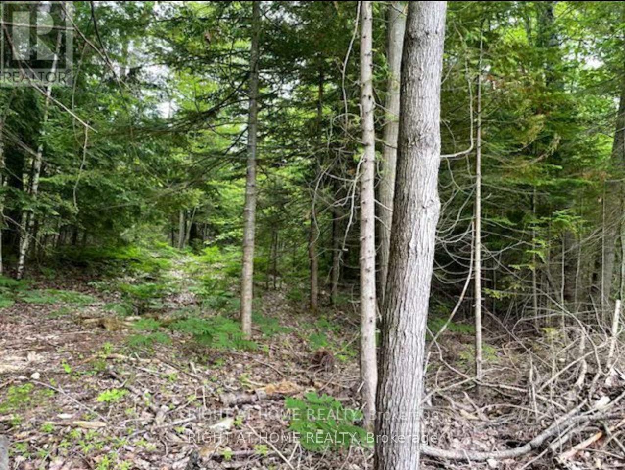 73 Lesperance Road, Tiny, Ontario  L0L 2J0 - Photo 4 - S13444214