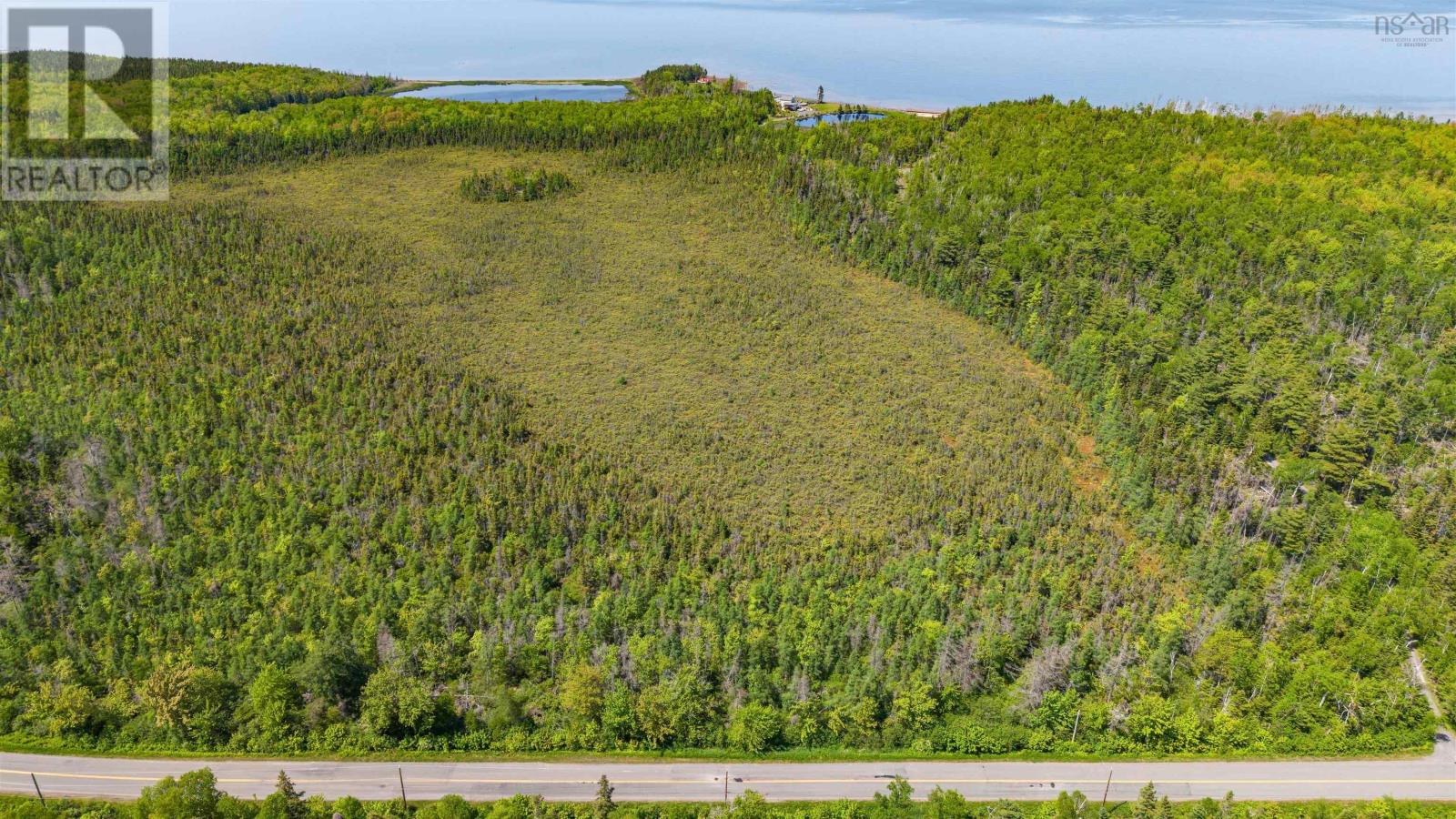 Lot 62 Acres Caribou Island Rd, Caribou Island, Nova Scotia  B0K 1H0 - Photo 10 - 202601238
