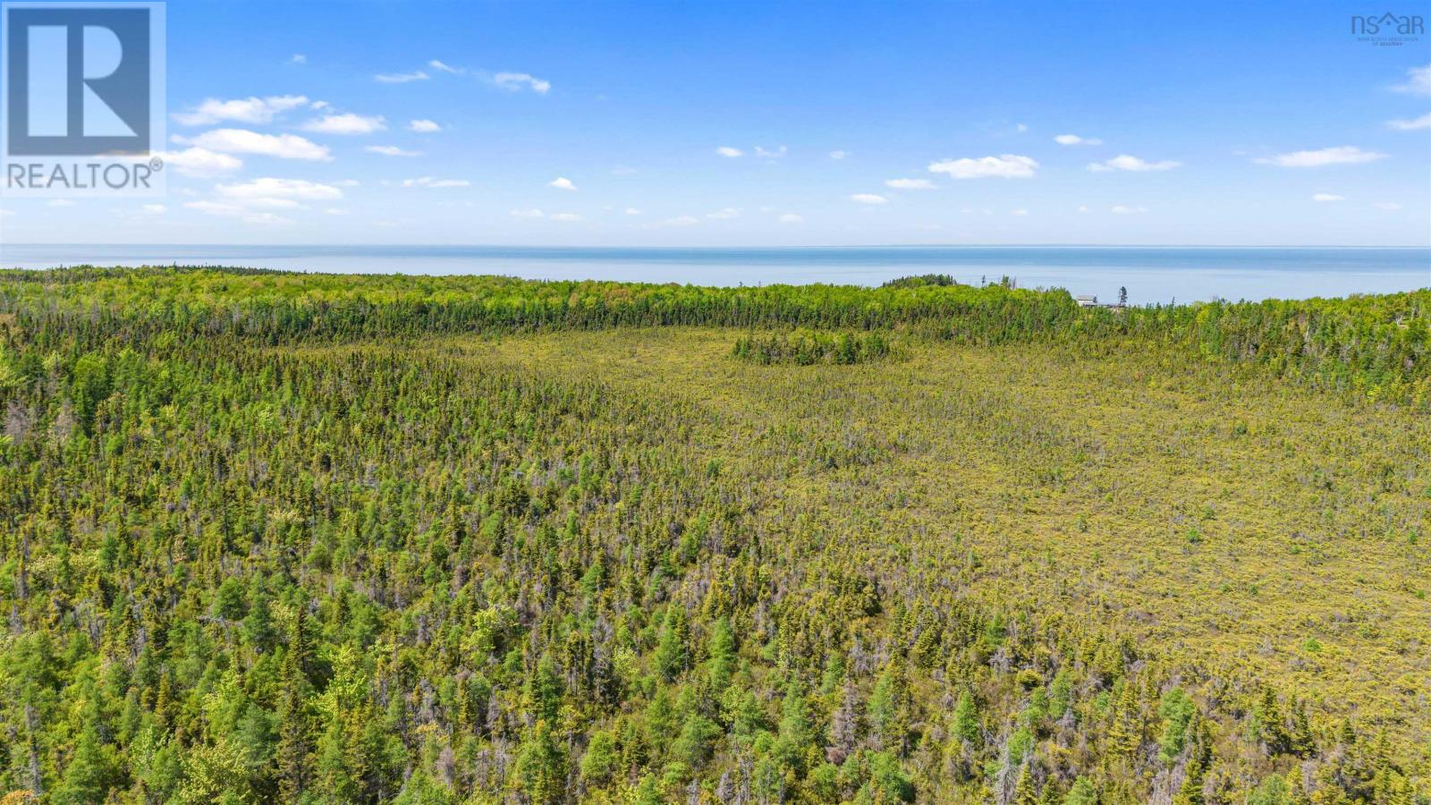 Lot 62 Acres Caribou Island Rd, Caribou Island, Nova Scotia  B0K 1H0 - Photo 19 - 202601238
