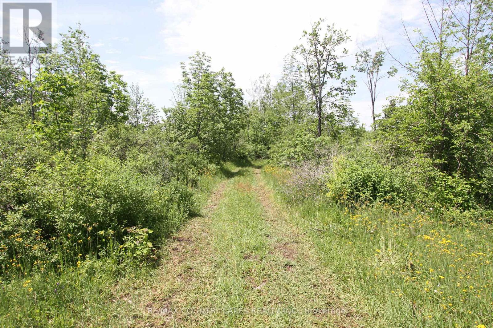 Lt25 Ramblewood Trail, Kawartha Lakes, Ontario  K0M 2B0 - Photo 14 - X13444330