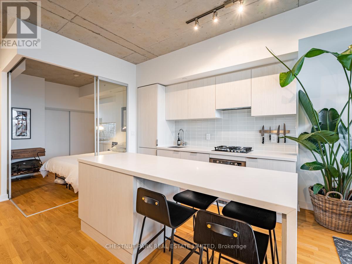 509 - 109 Ossington Avenue, Toronto, Ontario  M6J 2Z2 - Photo 8 - C13429104